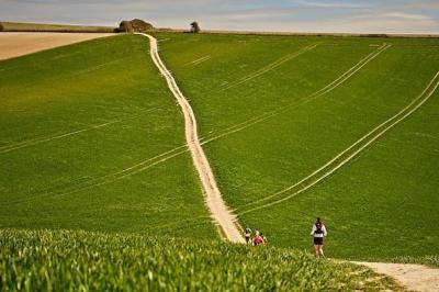 The south downs