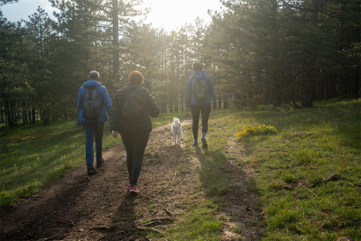 A group of people Walk 60 Miles in March